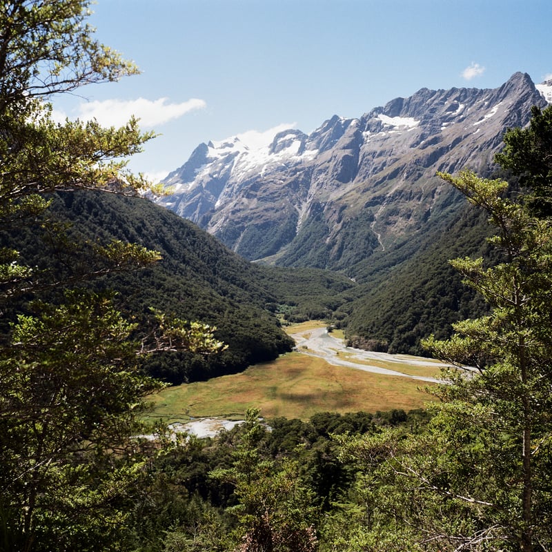 Routeburn Flats