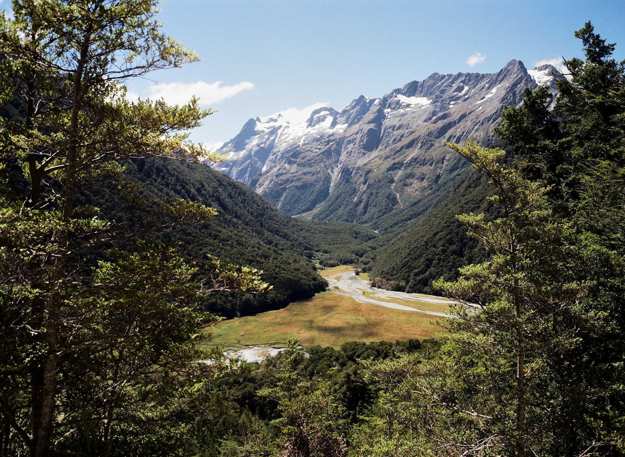 Routeburn Flats