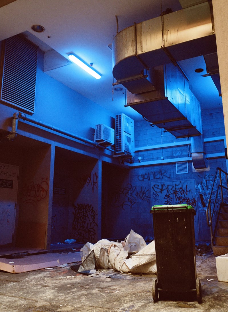 bleu