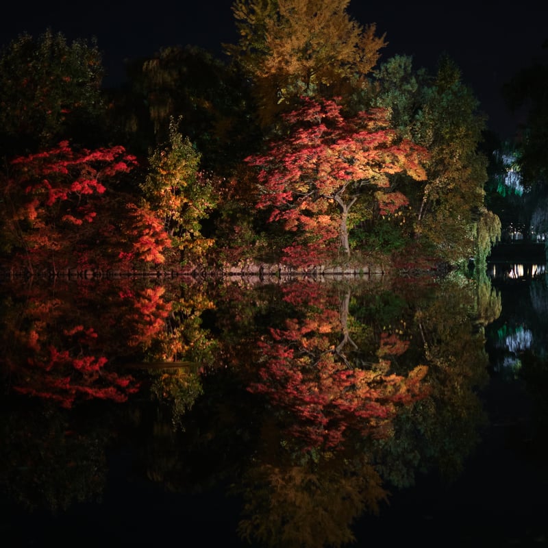 Red leaves at Sapporo
